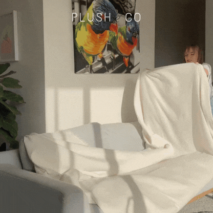 Plush & Co. Sofa Protector